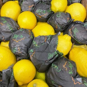 Zitronen - 113 Stück