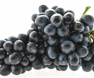 Blaue oder dunkelrote Trauben