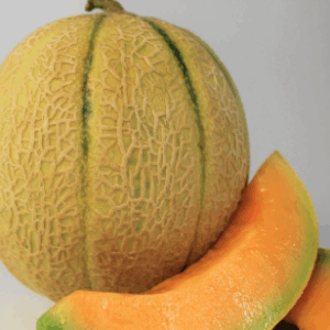Cantaloupe-Melone