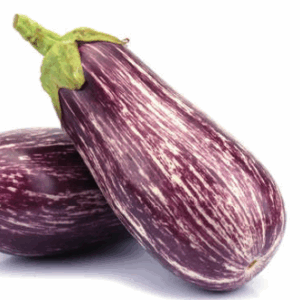 Zebra Aubergine