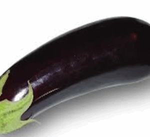 Klassische Aubergine - 3 kg