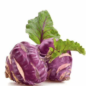 Violetter Kohlrabi
