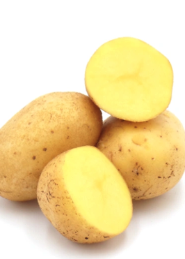 Mehligkochende Kartoffeln