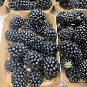 Brombeeren