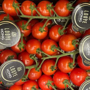 Honig Stauch Tomaten