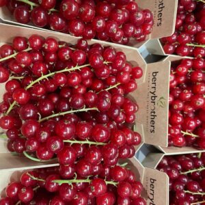 Rote Johannisbeeren - 200 gr