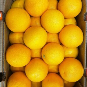 Orangen 48er Valencia