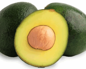 Reed Avocado