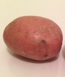 Bunte & Exotische Kartoffelsorten