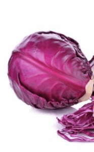 Rotkohl