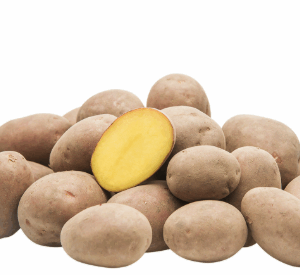 Vorwiegend festkochende Kartoffeln