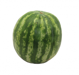 Wassermelone (auch kernlos oder Mini)