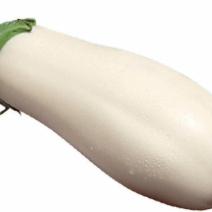 Weiße Aubergine