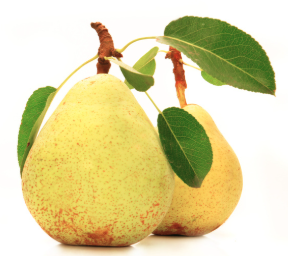 Williams Christ Birne