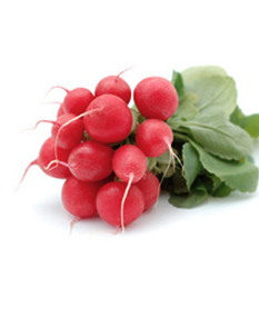 Radieschen