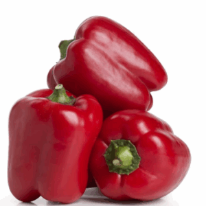 Rote Paprika