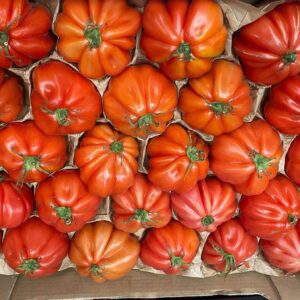 Tomaten Couer de boeuf - Ochsenherztomaten