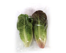 mini Romanasalat 12*2