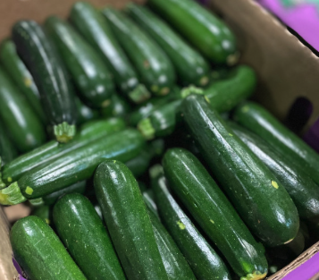 Zucchini – 5kg
